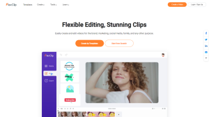 FlexClip